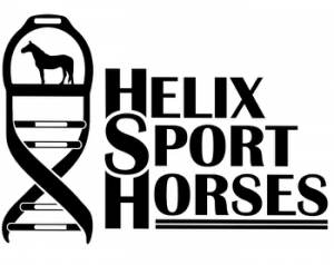 Helix Sport Horses